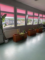 Spółdzielczy Dom Kultury AMONIT