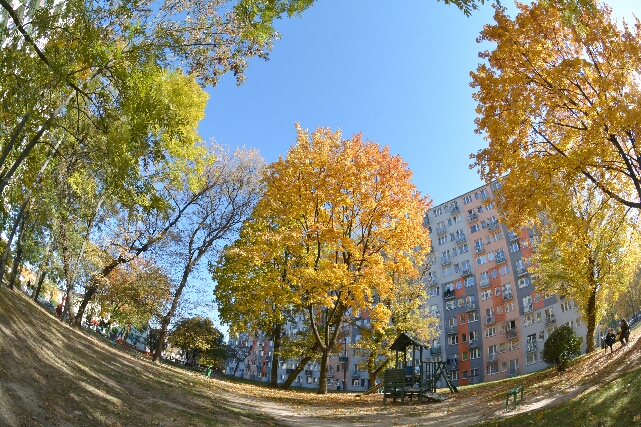 budynek Karczkowska 10