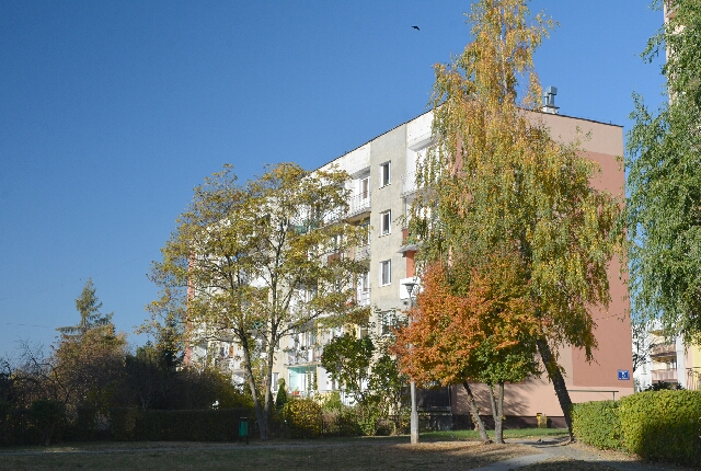 ulica Kalcytowa 5